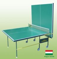 Pingpongasztal Vega Star kerekes kltri 4mm-es 08